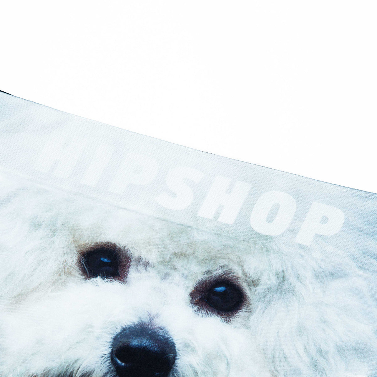 BICHON FRISE/ビション・フリーゼ アンダーパンツ メンズ ポリエステル