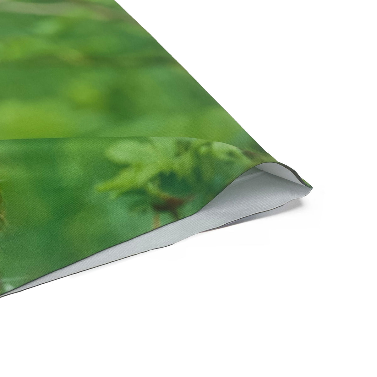 ウリボー様 hf4241a126-2bu_f_2160x.jpg?v=