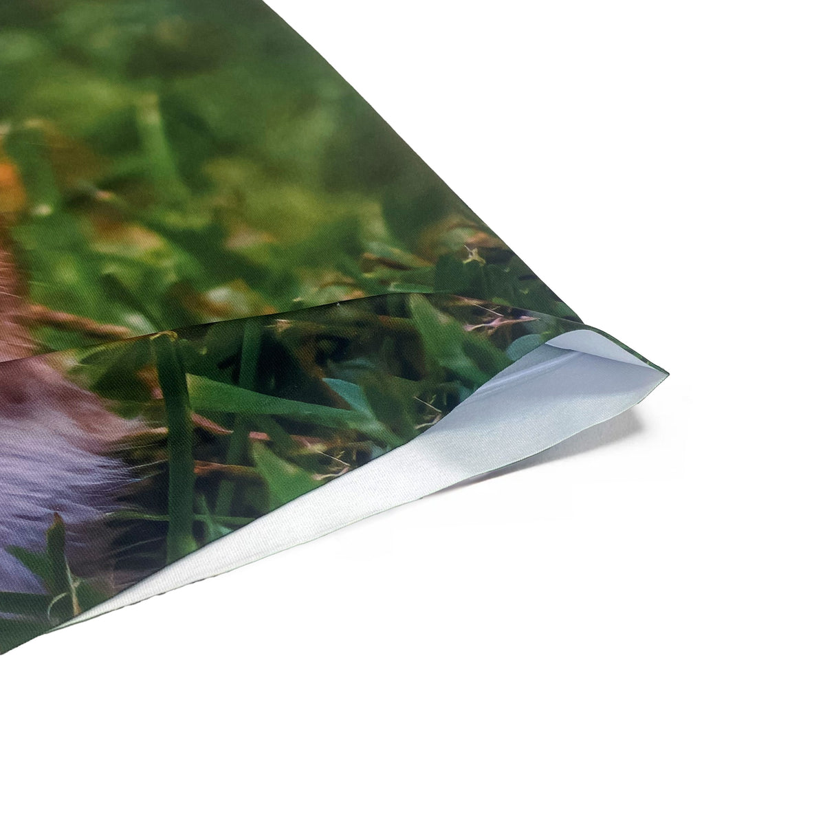 CHIPMUNK/シマリス アンダーパンツ メンズ/レディース/ユニセックス