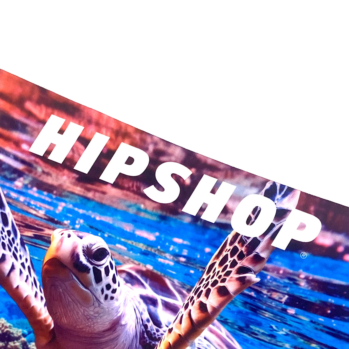 SEA TURTLE/ウミガメ アンダーパンツ メンズ/レディース/ユニセックス