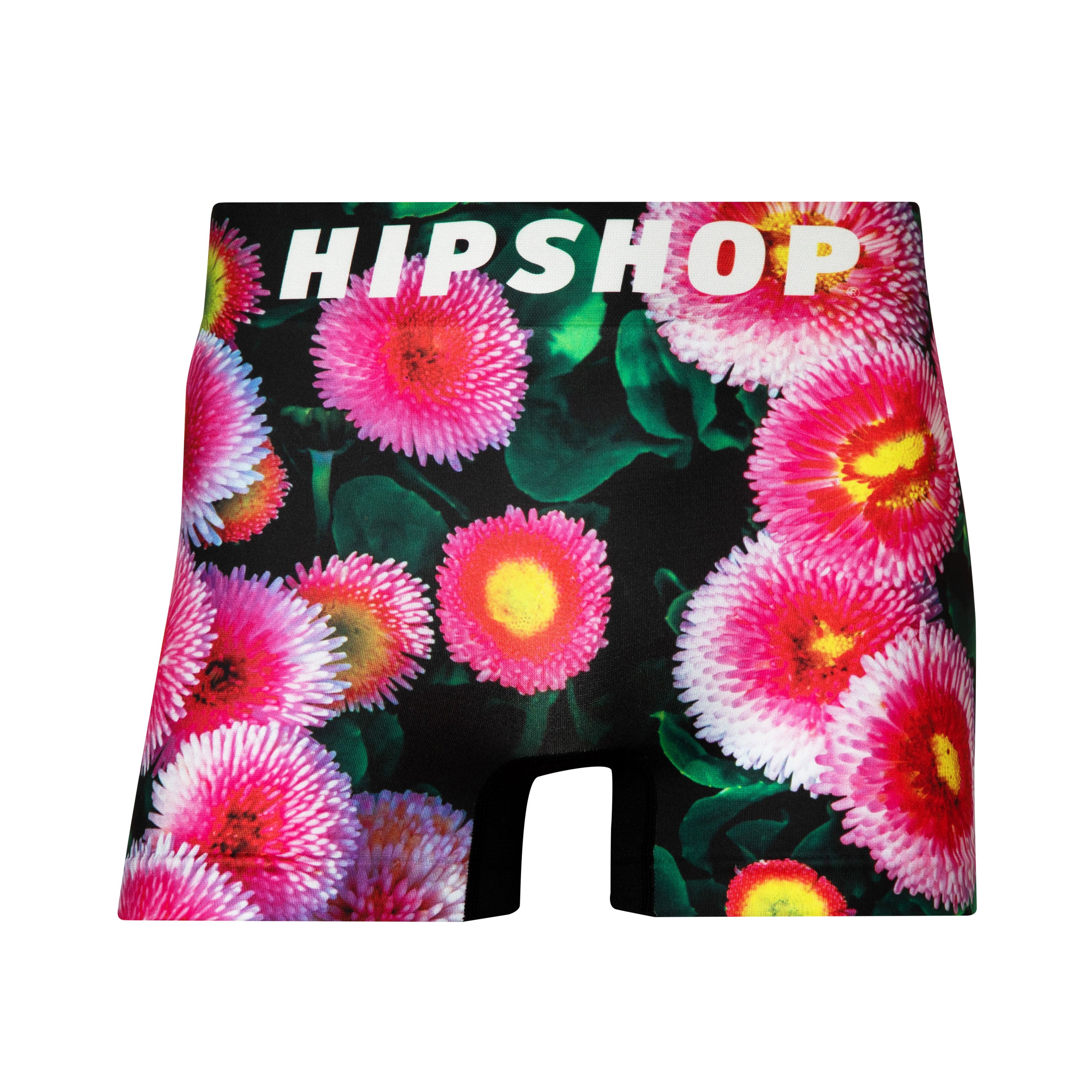 kujaku の菊パンツです。 kujaku] (クジャク) 2023SS ebine pants | Clique Tokyo