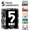 5 PIECES BOX/アンダーパンツ5点BOX メンズ/レディース/ユニセックス ポリエステル ボクサーパンツ  HF2241A503