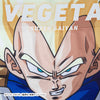 【予約:11/14〜順次発送】＜ドラゴンボールZ＞No.034 VEGETA SUPER SAIYAN/ベジータ 超サイヤ人 アンダーパンツ メンズ/レディース/ユニセックス ポリエステルタイプ ボクサーパンツ