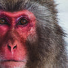 JAPANESE MONKEY/猿　アンダーパンツ　メンズ　ポリエステルタイプ