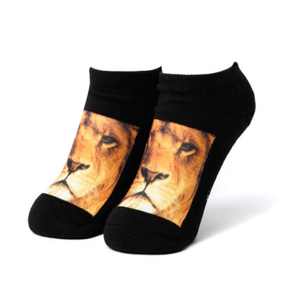 LION/ライオン　ソックス　レディース　ショート丈