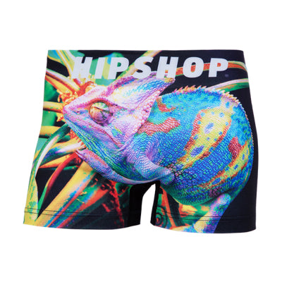 CAMELEON/カメレオン アンダーパンツ メンズ/レディース/ユニセックス ポリエステル ボクサーパンツ