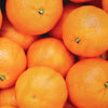 ORANGE/オレンジ　アンダーパンツ　メンズ　ポリエステルタイプ
