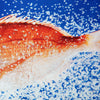 RED SEA BREAM/鯛　アンダーパンツ　メンズ　ポリエステルタイプ